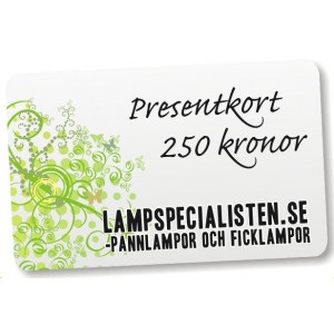Presentkort 250 kr